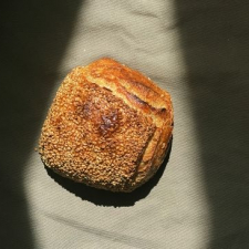Sæson